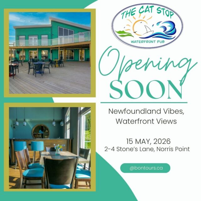 Season Opening May 15th
Enjoying the long holiday weekend in Gros Morne? Pop by Norris Point for a tasty fish 'n chips or lobster burger washed down with a cool craft beer on tap. Rain or shine, our bright new dockside space will warm your soul.
#trailstalestunes #openingday #catstop2026 #norrispoint