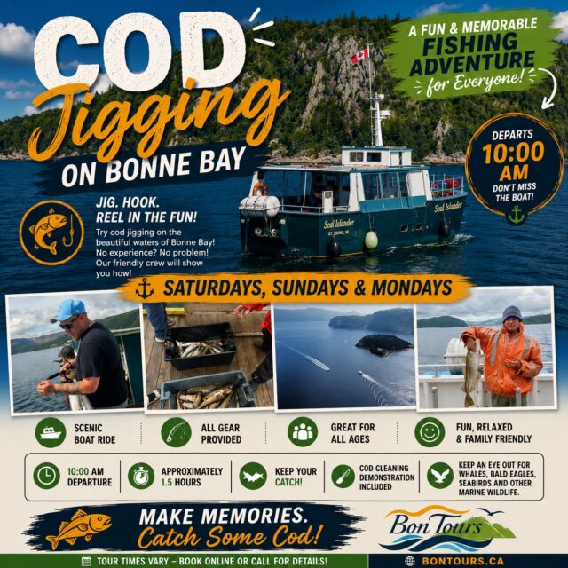 Experience one of Newfoundland's most iconic traditions with our Cod Jigging Tour on beautiful Bonne Bay!

Whether it's your first time fishing or you're a seasoned angler, our friendly crew will provide everything you need for a memorable day on the water.

🕙 Tours depart at 10:00 AM
📅 Saturdays, Sundays & Mondays
🎣 All fishing gear provided
🐟 Keep your catch
⚓ Scenic cruise through beautiful Bonne Bay

Bring your family, your friends, or just your sense of adventure and enjoy an authentic Newfoundland experience you'll never forget!

🎟 Book your spot today at:
🌐 www.bontours.ca

Who thinks they can catch the biggest cod? Tag your fishing buddy below! 🎣👇

#BonTours #CodJigging #BonneBay #GrosMorne #FishingAdventure #ExploreNL #VisitNewfoundland #NewfoundlandExperience #ThingsToDoNL
3d